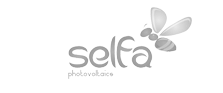 Logo Selfa